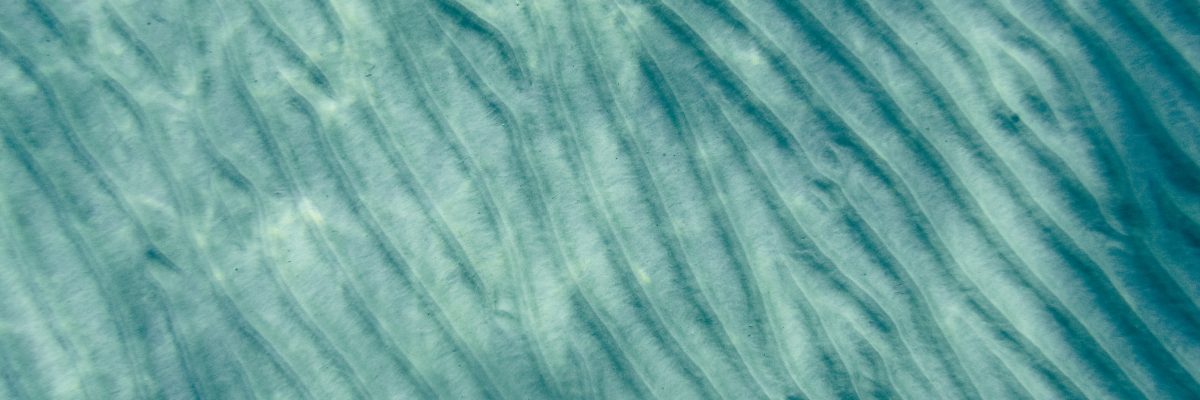 What are the Different Types of Collagen?.